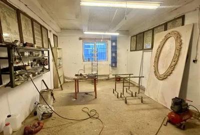 Proprietate mixta de vanzare locuin?a + hala Ta?nad, SM - 5