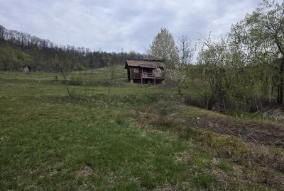 Teren de 11000 mp, în Ribița