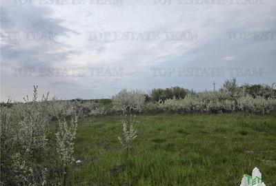 Teren Construcții intravilan de 420 mp, în Joița - 7