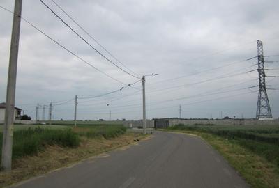 Domnesti-Narciselor - 15