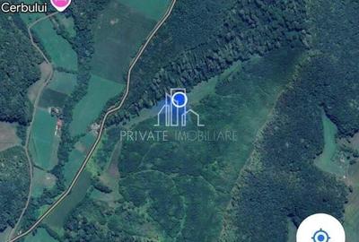 Teren de vanzare, 20.000Mp , Comuna Danes, drumul Crisului - 14