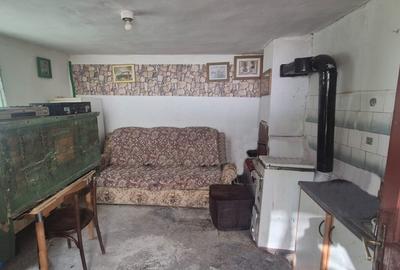 Casă individuală cu 3 camere cu Teren 2834 Mp în Ocoliș - 7