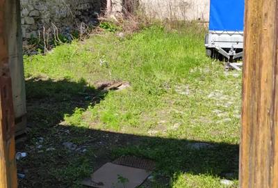 Casa istorica de vanzare-Oravi?a zona ultracentrala - 3