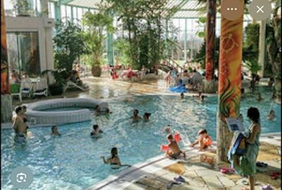 Casă cu 4 camere în Beba Veche - 4