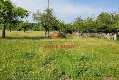 Casă cu Teren 1490 Mp în Voila - 7