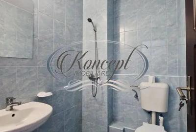 Garsoniera recent renovata, in Gruia, in apropiere de stdionul CFR - 8