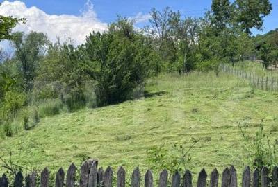 Teren intravilan, deschidere la drum Bezdead, Dambovi? - 2