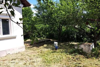 Casă cu Teren 3780 Mp în Hulubești - 7