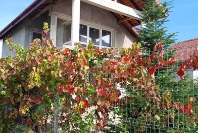 Casă cu 3 camere cu Teren 300 Mp în Voluntari - 2