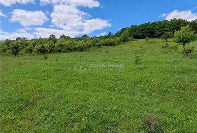 Teren de 550 mp, în Șelimbăr - 1