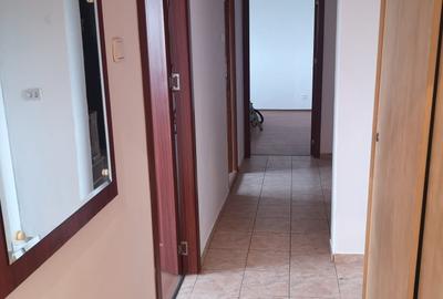 Apartament 3 camere Giurgiului - Luica - 10