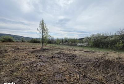 Teren de 6704 mp, în Hărău - 1