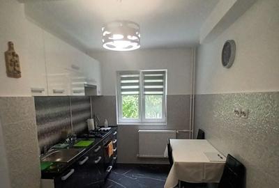 Apartament cu 2 camere semidecomandat în Apărătorii Patriei - 8