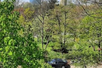 Apartament cu 2 camere semidecomandat, mobilat în Tei - 12