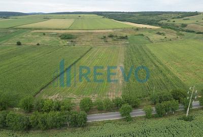 Teren de 4.400 mp Racova - 5