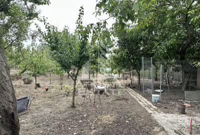 Casa cu anexa si teren 1457 in localitatea Carani - 12