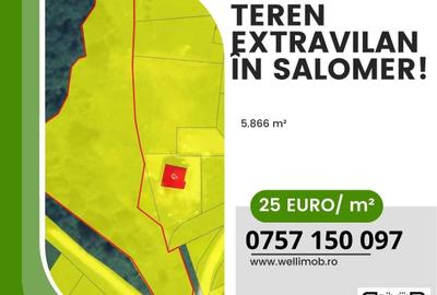 Teren agricol extravilan de 5866 mp, în Periferie