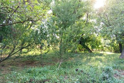 Casă individuală cu 6 camere cu Teren 1151 Mp în Ciuchici - 15