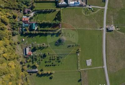 Teren de 3997 mp, în Plaiul Foii - 1