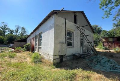 Spațiu comercial, în Valu lui Traian - 5