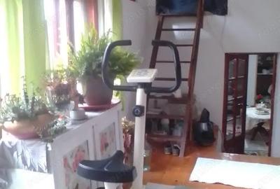 Casa de vanzare Minis - 8