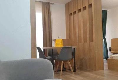 Maurer Residence - Inchiriere apartament tip studio - 1
