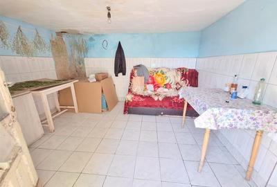 Teren 371 mp curti constructii+casa 5 camere si anexe, zona Izvoare - 12