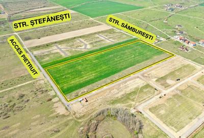 Teren Construcții intravilan de 683 mp, în Bucovăț (Remetea Mare) - 11