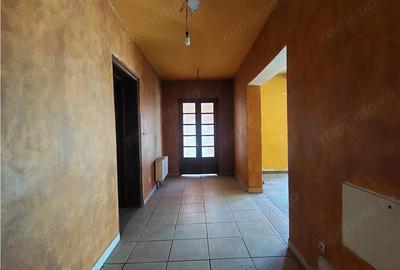 Casă cu Teren 2155 Mp în Periam - 4
