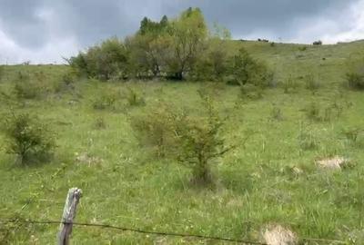 Spațiu comercial, în Mogoș