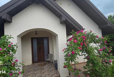 Casă cu 4 camere în Breazu - 12