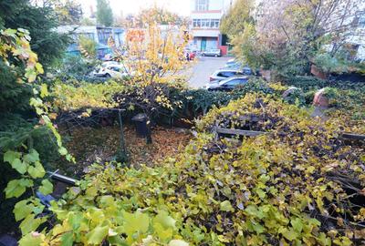 Garsoniera Baba Novac | Curte Generoasa | Localizare Excelenta - 20