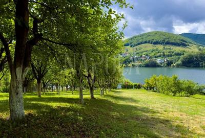 Teren Construcții intravilan de 1830 mp, în Gilău - 7