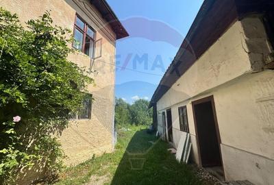 Casa boiereasca cu istorie, teren generos si iesire la Raul Targului - 8