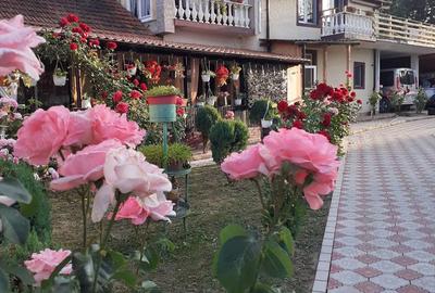 Casă în Șerel - 7