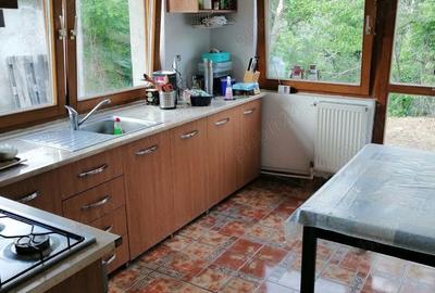 Casă cu 2 camere cu Teren 1500 Mp în Topleț - 4