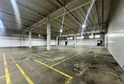 Hala de produc?ie ?i depozitare, 4500 mp Deva - 3