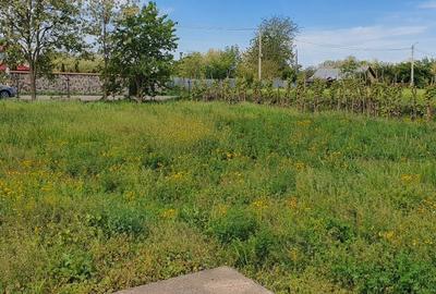 Teren Construcții intravilan de 2300 mp, în Sărulești - 1