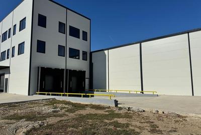 Spatiu depozitare si productie Otopeni - 2