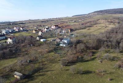 Teren agricol extravilan de 20146 mp, în Dâmbul Rotund - 3