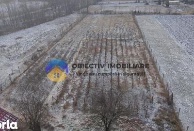 Casă cu 2 camere cu Teren 2089 Mp în Central - 10