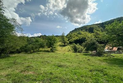 Teren 2 hectare pe Valea Ariesului, zona Scarita-Belioara, pret oportun 2 Eur/mp - 3