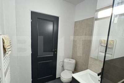 Apartament cu 2 camere, 49 mp, central, Bulevardul Decebal - 2