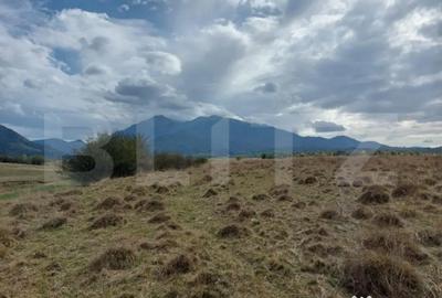 Teren de 10000 mp, în Central - 2