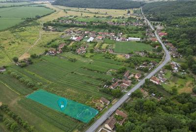 Casă individuală cu 2 camere cu Teren 2473 Mp în Odvoș - 8