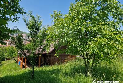 Teren intravilan de 4000 mp pe str. Frunzisului zona Wings - 7
