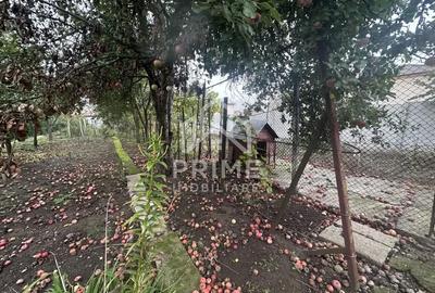 Casă cu 4 camere cu Teren 791 Mp în Central - 7