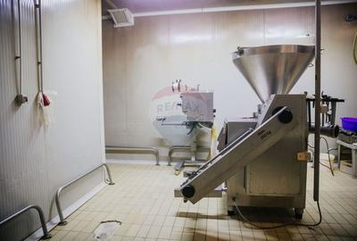 Spatiu industrial de 1,700mp de inchiriat in zona Vasile Alecsandri - 5