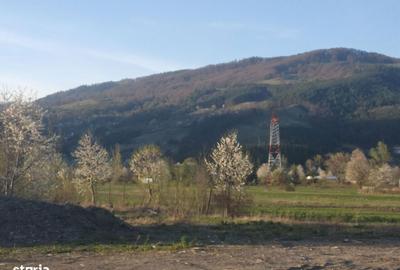 Teren de 13476 mp, în Pângărați - 1