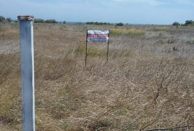 EXCLUSIV! Teren intravilan  - 2 Mai - Vama Veche - 20 euro/mp(E3) - 4